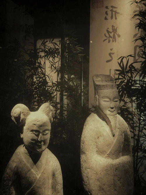 光影詩篇，竹韻新生——南京六朝博物館的建筑美學與鋼筋材料的現代演繹